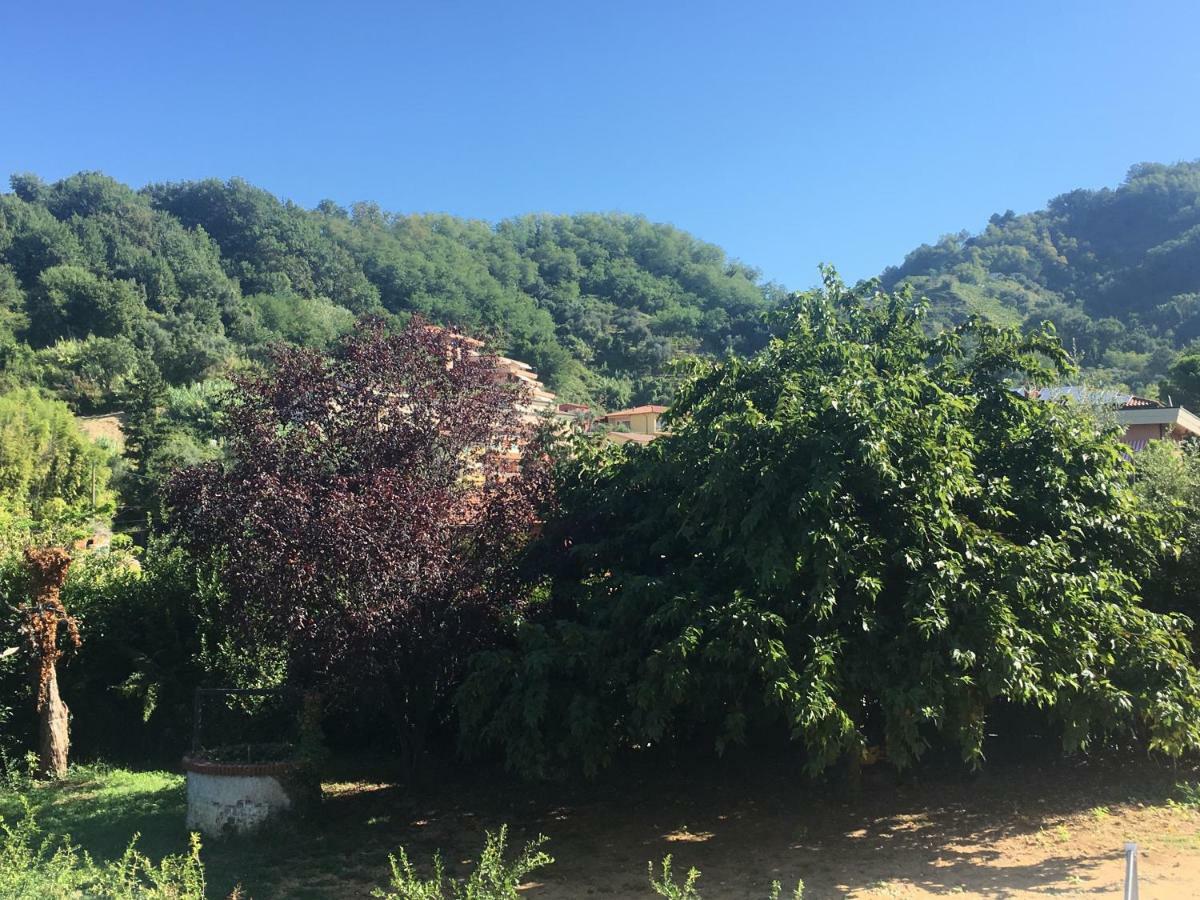 Bed and Breakfast Mikeme Carrara Esterno foto